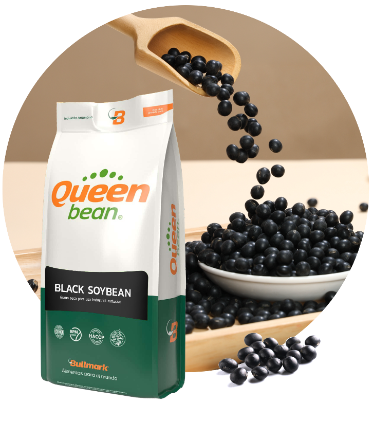 Soja negra Queen Bean